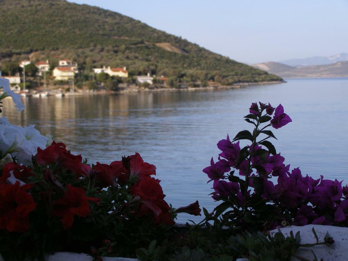 Meli-Ios Pension Almiropótamos Buitenkant foto
